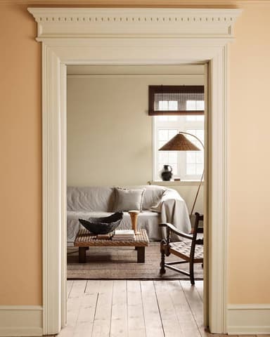 MILD OCHRE - 11202 Jotun Paint Color