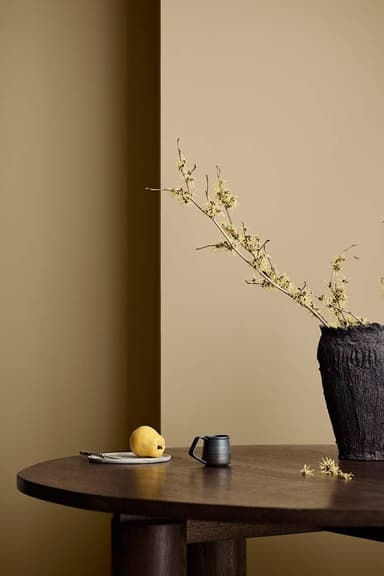 ROCK SUGAR - 1632 Jotun Paint Color